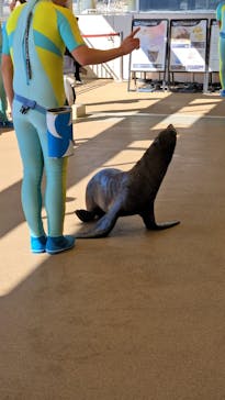 新江ノ島水族館に投稿された画像（2026/2/4）