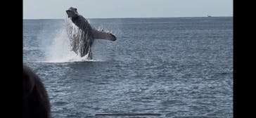 マリンクラブ ベリー 那覇店に投稿された画像（2026/2/4）