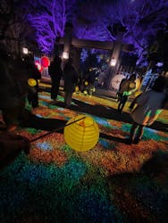 ぎふ灯り物語 ２０２６に投稿された画像（2026/2/4）