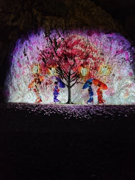 ぎふ灯り物語 ２０２６に投稿された画像（2026/2/4）