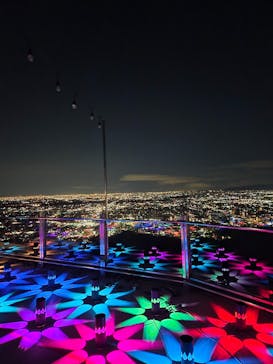 ぎふ灯り物語 ２０２６に投稿された画像（2026/2/4）