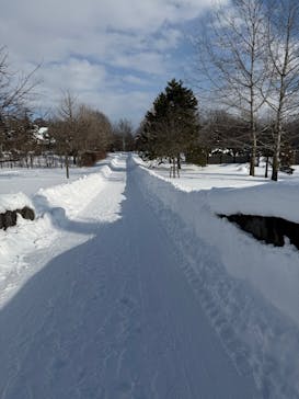 ノーザンホースパークに投稿された画像（2026/2/4）