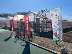 岸井農園に投稿された画像（2026/2/4）