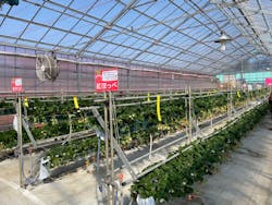 岸井農園に投稿された画像（2026/2/4）