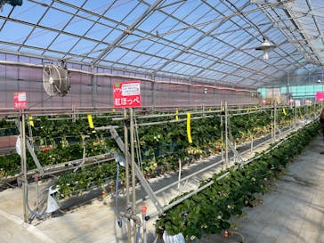 岸井農園に投稿された画像（2026/2/4）