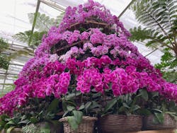 沖縄美ら海水族館×熱帯ドリームセンターに投稿された画像（2026/2/4）