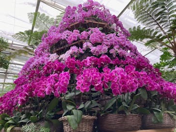 沖縄美ら海水族館×熱帯ドリームセンターに投稿された画像（2026/2/4）