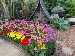 沖縄美ら海水族館×熱帯ドリームセンターに投稿された画像（2026/2/4）