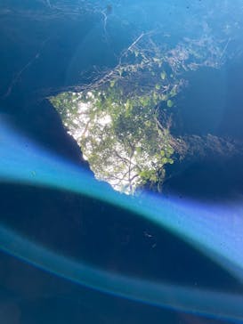 CAVE OKINAWAに投稿された画像（2026/2/4）