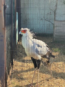 恩賜上野動物園に投稿された画像（2026/2/4）