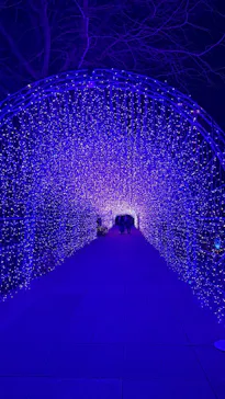 江の島シーキャンドルに投稿された画像（2026/2/4）