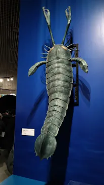 特別展「大絶滅展―生命史のビッグファイブ」に投稿された画像（2026/2/4）