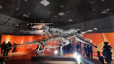 特別展「大絶滅展―生命史のビッグファイブ」に投稿された画像（2026/2/4）