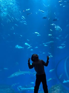 アクアワールド茨城県大洗水族館に投稿された画像（2026/2/4）