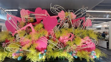 世界らん展2026-花と緑の祭典-に投稿された画像（2026/2/5）