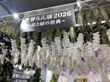 世界らん展2026-花と緑の祭典-に投稿された画像（2026/2/5）