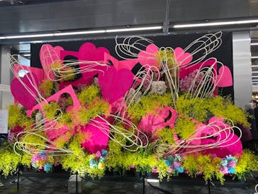 世界らん展2026-花と緑の祭典-に投稿された画像（2026/2/5）