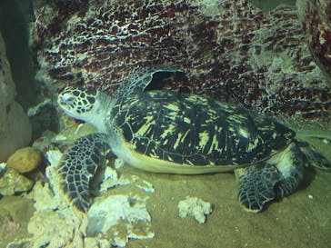 九十九島パールシーリゾートに投稿された画像（2026/2/5）