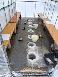 とれた小屋ふじい農場に投稿された画像（2026/2/5）