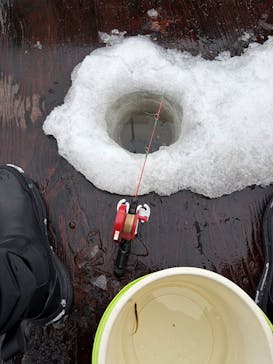 とれた小屋ふじい農場に投稿された画像（2026/2/5）