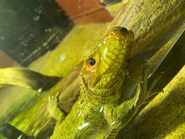 シン・マリホ水族館に投稿された画像（2026/2/5）