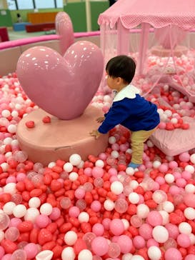 ハピピランド港北ルララに投稿された画像（2026/2/5）