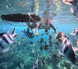 武藤潜水に投稿された画像（2026/2/5）