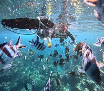 武藤潜水に投稿された画像（2026/2/5）