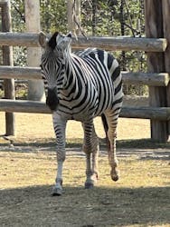 天王寺動物園に投稿された画像（2026/2/5）