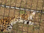 多摩動物公園に投稿された画像（2026/2/5）