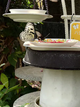 多摩動物公園に投稿された画像（2026/2/5）