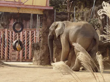 多摩動物公園に投稿された画像（2026/2/5）