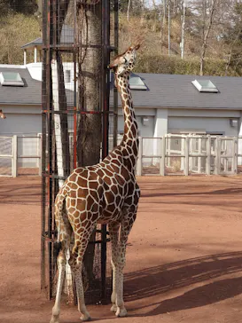 多摩動物公園に投稿された画像（2026/2/5）