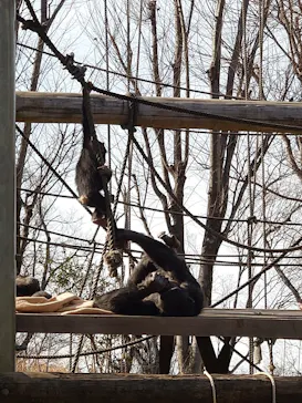 多摩動物公園に投稿された画像（2026/2/5）