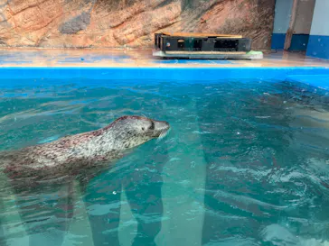 ゼロ距離水族館 伊勢シーパラダイスに投稿された画像（2026/2/5）