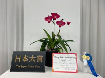 世界らん展2026-花と緑の祭典-に投稿された画像（2026/2/5）