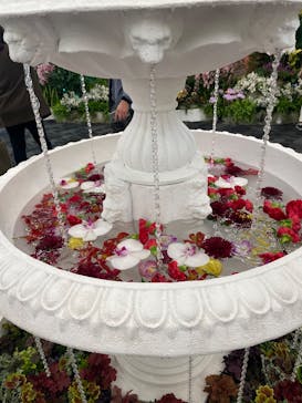 世界らん展2026-花と緑の祭典-に投稿された画像（2026/2/5）