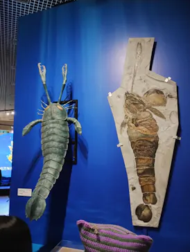 特別展「大絶滅展―生命史のビッグファイブ」に投稿された画像（2026/2/5）