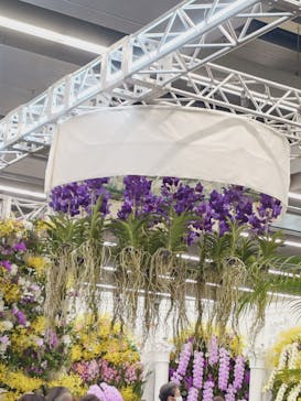 世界らん展2026-花と緑の祭典-に投稿された画像（2026/2/5）