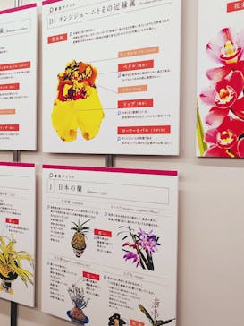 世界らん展2026-花と緑の祭典-に投稿された画像（2026/2/5）