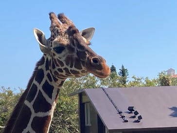 沖縄こどもの国に投稿された画像（2026/2/5）