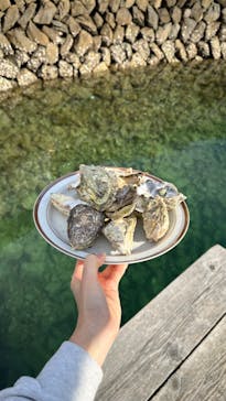 真珠工房 真珠の里に投稿された画像（2026/2/5）