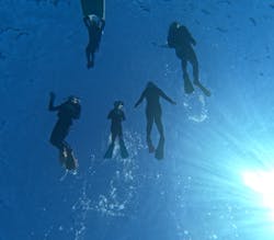 MalDive（モルダイブ）に投稿された画像（2026/2/5）