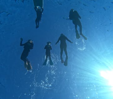 MalDive（モルダイブ）に投稿された画像（2026/2/5）