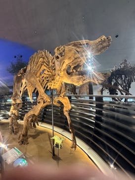 福井県立恐竜博物館に投稿された画像（2026/2/5）