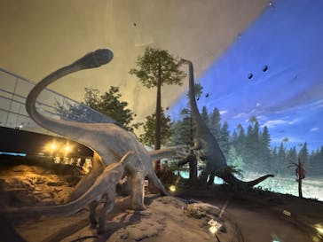 福井県立恐竜博物館に投稿された画像（2026/2/5）