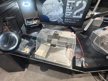 福井県立恐竜博物館に投稿された画像（2026/2/5）