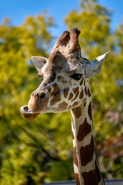 沖縄こどもの国に投稿された画像（2026/2/5）