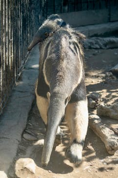 沖縄こどもの国に投稿された画像（2026/2/5）