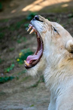 沖縄こどもの国に投稿された画像（2026/2/5）